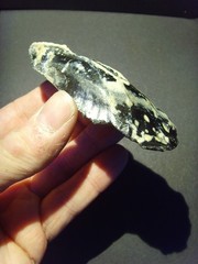 Lower Paleolithic – Fine Acheulean scraper. c.450,000 BP.