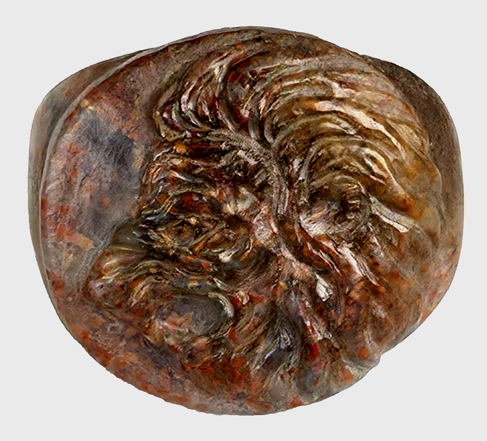 300 BC Authentic Ancient Roman hololith Ring Engraved Gemstone Lion MUSEUM GRADE
