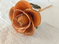 Steven Singer Orange Real Rose Preserved & Dipped in 24kt Gold