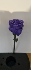 Gothic Skull Rose 3d Printed Gift Perfect Wedding Or Friend Halloween Present