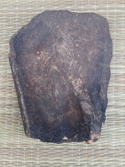 STUNNING unknown figurative “India” Archaeological Plate!!!