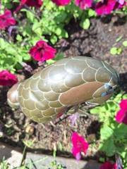 Vintage Brass & Copper Parrot Hanging Sculpture without perch