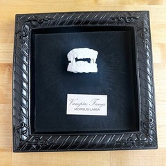 Metal Framed Vampire Fangs Specimen Halloween Square Wall Decor Seasons USA