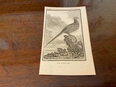 S/6 Small French Lithographs Birds Circa 18th Century