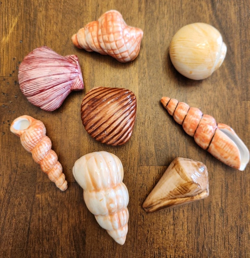 Painted Sea Shells 2 to 3 Inches Ceramic Ocean Beach Decor Set Of 8 with Crate A