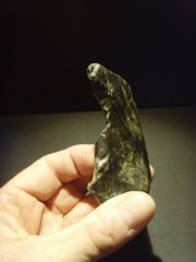 Lower Paleolithic – Fine Acheulean hooked scraper. c.450,000 BP.