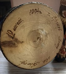 Wood burned Nesting/Traditional. 9.5 Piece Painted Detail – SIGNED. Russian