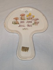 Mushroom Ceramic Wall Decor/Spoon rest Avon Hand-Painted 1980 Mushroom Shrooms