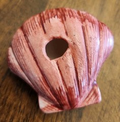 Painted Sea Shells 2 to 3 Inches Ceramic Ocean Beach Decor Set Of 8 with Crate A