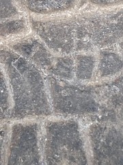 STUNNING unknown figurative “India” Archaeological Plate!!!