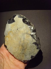 Lower Paleolithic – Large Acheulean ovate scraper. c.450,000 BP.