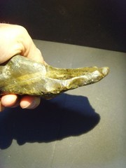 Lower Paleolithic – Fine Acheulean cleaver/scraper c.450,000 BP.