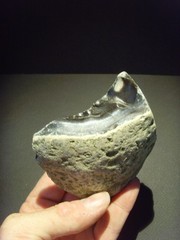 Lower Paleolithic – Fine Acheulean ‘hooked’ scraper. c.450,000 BP.