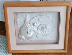 Framed Real Nautilus Shell Cut Wall Art Coastal Beach Decor 13×15 Shadow Box