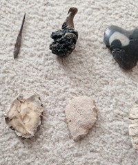Archaeological Finds, Origin Unknown, Artifacts
