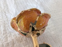 Steven Singer Orange Rose Preserved & Dipped in 24kt Gold ~ Sparkle Collection