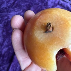 Alabaster 3″ Stone Fruit Peach Apricot Vintage Exposed Pit Seed Wood Stem