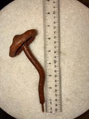 Cast Iron Metal Decorative Mushroom hooks Sculptures Set of 3 Various Sizes