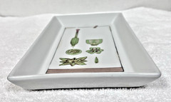 Fabienne Jouvin Paris Porcelain Tray Botanical 9 3/4″ x 5.5″ Signed