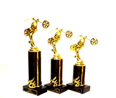 MOTORCYCLE TROPHY, BIKE AWARD, MOTORCYCLE SHOW CHOPPER 123 EIGHT COLORS