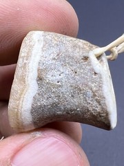 Natural Jasper Stone Rare Unique Beautiful Old Stamp Bead With A Deer 🦌 Engrave