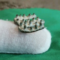 Unknown Metal Detecting Find (331)