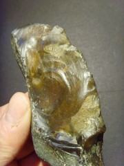Lower Paleolithic – Fine Acheulean elongated scraper. c.450,000 BP.