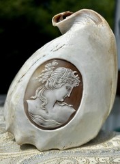 Victorian-Edwardian Era Shell Carving Diana/Artemis Phenomenal Craftsmanship 🚭