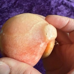 Alabaster 3″ Stone Fruit Peach Apricot Vintage Exposed Pit Seed Wood Stem