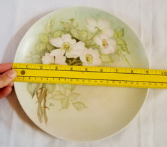Wild Roses Flower Porcelain Plate Platter 9″ Hand Painted Artist Sampler