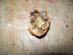 Vintage Unbranded Mouse In A Walnut Shell Decoration 1-3/4″ Tall