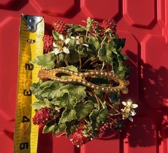 Gorham Jane Hutcheson Brass Basket Fleurs des Siecles Enamel Strawberries
