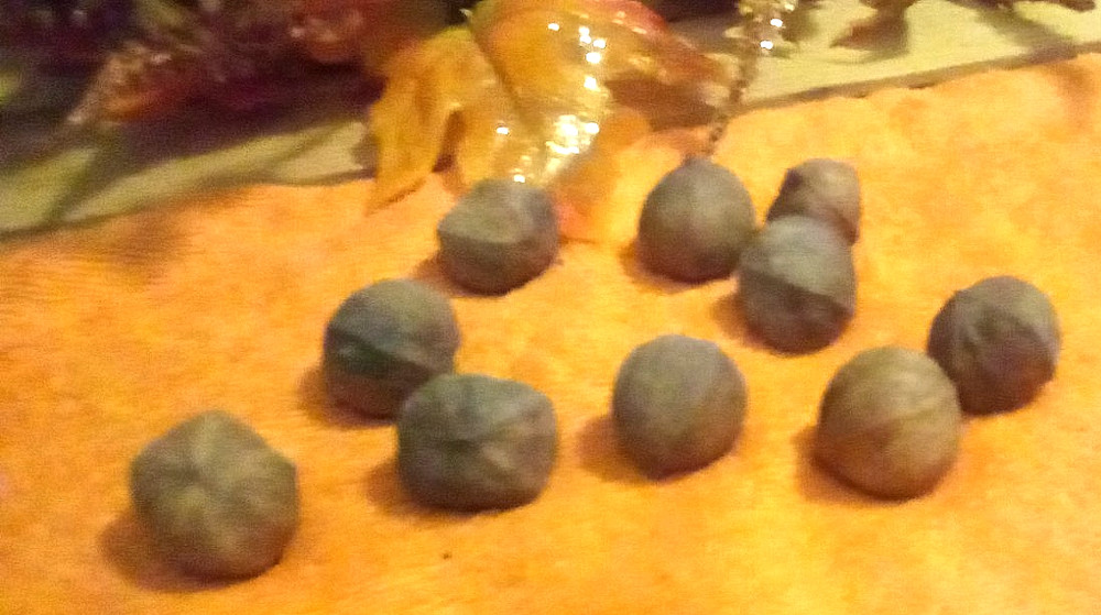 10 REAL FALL Decorative Hickory Nuts Brown Crafts Autumn Harvest