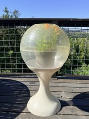 Vintage MCM Dome Terrarium Planter with Retro hour glass Base Atomic Era No Lid