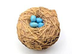 MARJOLEIN BASTIN Hallmark Bird Nest Clip Pair, Blue Eggs Ornaments Vintage, NEW