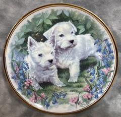 Edwardian Fine Bone China Plate Westie Terrier Puppies Floral Gold Rim