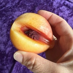 Alabaster 3″ Stone Fruit Peach Apricot Vintage Exposed Pit Seed Wood Stem