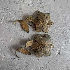 Pair of Vintage Flower Wall Decor Hanging Metal Brass Gold Tone