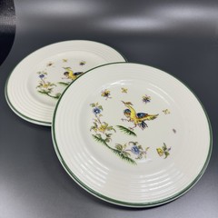Varages Vieux Fine Porcelain Bird Pattern Plate Dish Set 2 Plates Dishes France