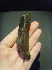 Lower Paleolithic – Acheulean lateral scraper c.450,000 BP.