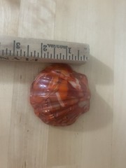 Vintage Akro Agate? Seashell