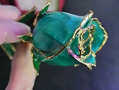 Beautiful Gold Dipped Rose 24K Plated Forever Preserved Roses Flower Blue 11″~~