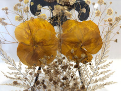 Silver Framed Round Dried Flowers & Butterfly Glass Hanging Window/Wall Decor