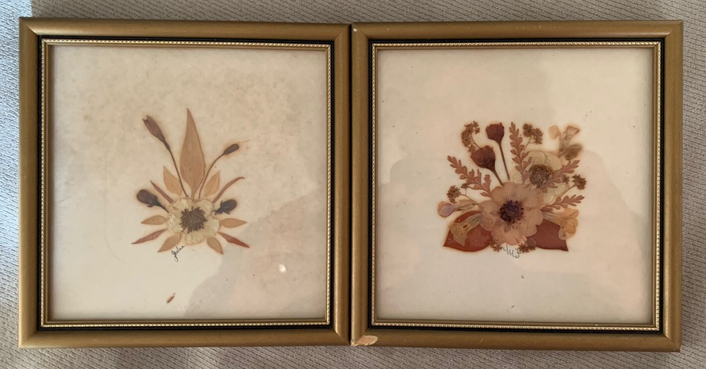 Pressed English Flowers Village Green Country Crafts England Framed Pair Signed