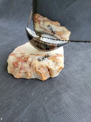 DeMott Vintage Metal Sailboat Sculpture Onyx base 15″ Signed Mirrored Finish