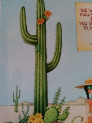 Mary Engelbreit THE WORLD IS FULL OF CACTUS Wall Art 10 3/4″ x 13″ Unframed