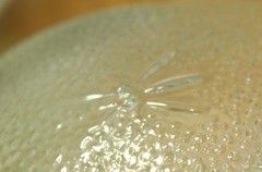 Heavy Pebbled Decorative Glass Bee, Wasp & Sun Catcher Summer Patio or Porch