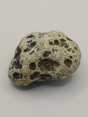 Natural Dalmatian Stone Raw Jasper rock perfect for mineral healing