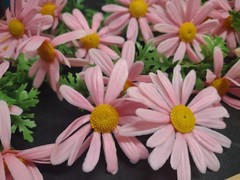 12 Stems Genuine 1960s Vintage Plastic Flowers – Marguerite Daisy 8 inches by 2″