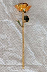Steven Singer Orange Rose Preserved & Dipped in 24kt Gold ~ Sparkle Collection